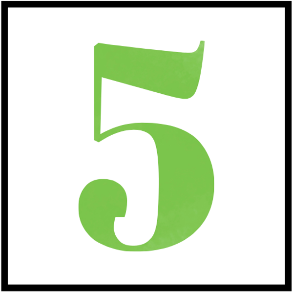 A large, lime green serif number five (5) centered inside a square white background with a thin black border.